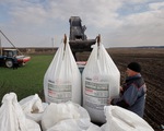 LHQ cảnh báo khủng hoảng lương thực kéo dài, Nga đổ lỗi phương Tây