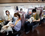 Thí điểm toa tàu du lịch dành cho thú cưng tại Nhật Bản