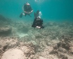 Cứu san hô chết ở khu bảo tồn Hòn Mun: Cơ quan chức năng cần vào cuộc sớm hơn
