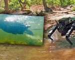 Video chó robot bơi ào ào dưới nước