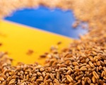Mỹ tìm cách khôi phục xuất khẩu ngũ cốc Ukraine