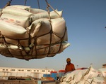 Triều Tiên nhập 3.744 tấn đậu nành Trung Quốc giữa đại dịch