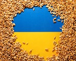Nga - Thổ Nhĩ Kỳ đồng ý tiếp tục đàm phán về mở đường xuất khẩu ngũ cốc từ Ukraine
