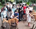Khách ùn ùn kéo đến khu vui chơi, nhiều người mệt mỏi vì quá đông