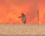 Video: Người đàn ông thoát chết kịch tính trên cánh đồng rực lửa ở Tây Ban Nha