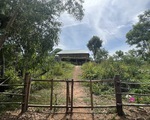 Vợ chánh án huyện ở Bình Định đã tháo dỡ công trình lấn chiếm đất rừng phòng hộ