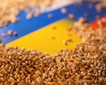 Cảng Odessa bị tấn công: Ukraine vẫn xuất khẩu lương thực