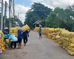 Người dân An Giang thu nhập thấp hơn bình quân cả nước do làm lúa?