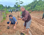 Phú Quốc phát động toàn dân trồng rừng