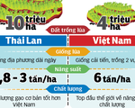 Việt Nam thua Thái Lan về giống nông sản?