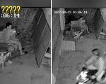 Trộm chó hú hồn vì 3 giờ sáng gặp chủ nhà ngồi lướt điện thoại