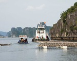 Để xảy ra nuôi thủy sản trái phép trên vịnh Bái Tử Long, 4 cán bộ bị đình chỉ công tác