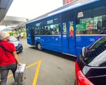 Phải mở đường cho xe buýt vào sân bay Tân Sơn Nhất