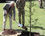 Đài tưởng niệm Nữ hoàng Elizabeth II lớn nhất sẽ 