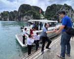 Chưa dễ xuất ngoại, khách Việt nhộn nhịp đặt tour ngắm mùa lúa chín