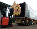 Lâm Đồng xuất khẩu hơn 70 tấn sầu riêng đầu tiên sang Trung Quốc