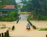 Hàng chục ngàn học sinh nghỉ học tránh mưa lũ