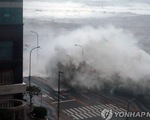Siêu bão Hinnamnor đổ bộ Hàn Quốc