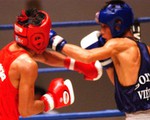 Kết thúc giải quyền Anh tiền SEA Games 22: VN đoạt 4 HCV