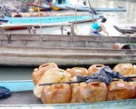 An Giang - Kiên Giang: Xăng dầu lại chảy qua biên giới