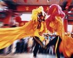 Nguồn gốc bộ Bài Chòi