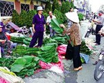 Lá dong chợ Ông Tạ