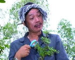 Cuộc phiêu lưu của Hai Lúa