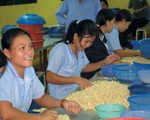 Nâng cao sức cạnh tranh của hạt điều