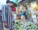 Đi chợ đầu mối
