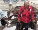 Tranh thủy mặc và một góc cuộc sống