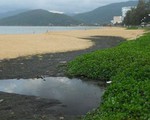 Nước thải đen ngòm đổ ra… biển