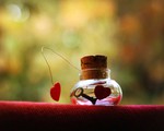 Vợ 'ghiền' về nhà mẹ: cái cớ để 'tị nạn' mẹ chồng?