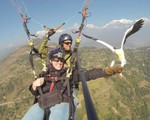 Du lịch dù lượn trên không cùng kền kền ở Nepal
