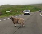 Thăm quần đảo Faroe xinh đẹp