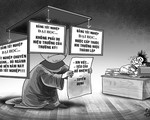“Mộng du bằng cấp”