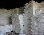 ​Cơ hội xuất khẩu tinh bột sắn sang Argentina