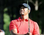 Vì sao Tiger Woods tuột dốc không phanh?