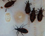 nh-b-xit-hut-mau-1432641083.jpg
