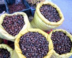 Ngược Cao Bằng tìm ăn hạt dẻ Trùng Khánh
