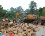 ​Làm rõ phản ánh mua bán đất rừng phòng hộ tại Phú Quốc