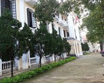 Kỷ luật về mặt Đảng giám đốc Học viện Âm nhạc Huế