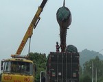 Ồ ạt bán cây thốt nốt cho thương lái Trung Quốc