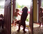 'Tan chảy' với clip em bé và chú chó chào đón cha