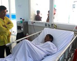 ​Ngộ độc do ăn cá nóc, 8 người nhập viện cấp cứu