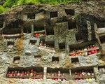 ​Khám phá tục lệ mai táng độc nhất vô nhị của người Toraja