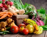 Doanh nghiệp Nga muốn nhập khẩu rau củ VN