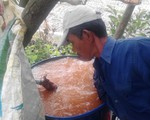 Bơm nước nhiễm phèn nặng cho dân xài