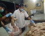 200 heo sữa thối chuẩn bị đưa vào nhà hàng làm heo sữa quay