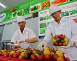 Cà chua, cà rốt, dưa leo... tí hon Việt xông ra chợ tết