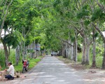 ​Công nhận Khu Ramsar Vườn Quốc gia U Minh Thượng